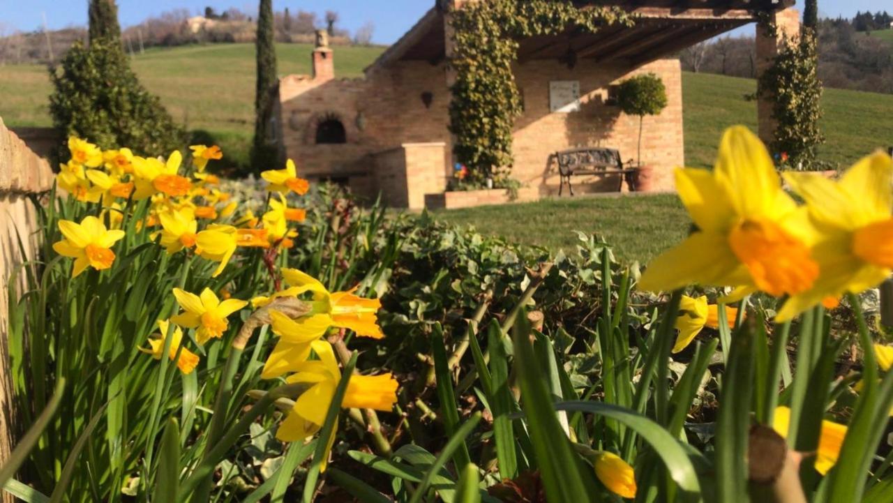 Casale Delle Rondini Bed and Breakfast Tolentino Eksteriør billede