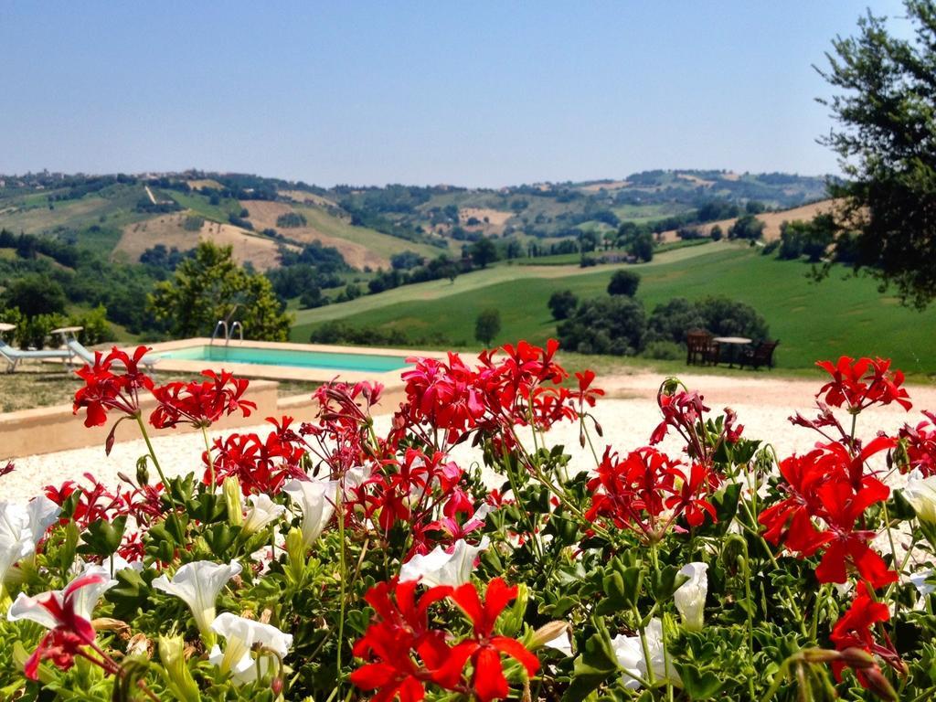 Casale Delle Rondini Bed and Breakfast Tolentino Eksteriør billede