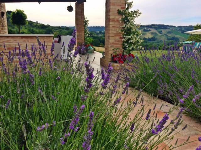 Casale Delle Rondini Bed and Breakfast Tolentino Eksteriør billede
