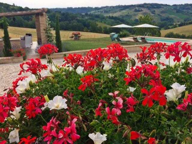 Casale Delle Rondini Bed and Breakfast Tolentino Eksteriør billede