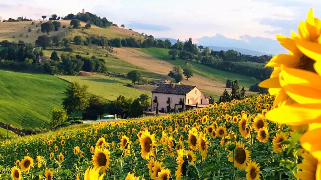 Casale Delle Rondini Bed and Breakfast Tolentino Eksteriør billede