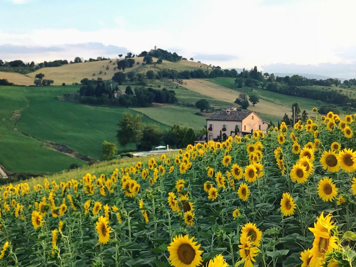 Casale Delle Rondini Bed and Breakfast Tolentino Eksteriør billede